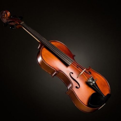 violín violín