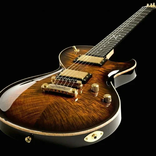 guitarra eléctrica guitarra eléctrica